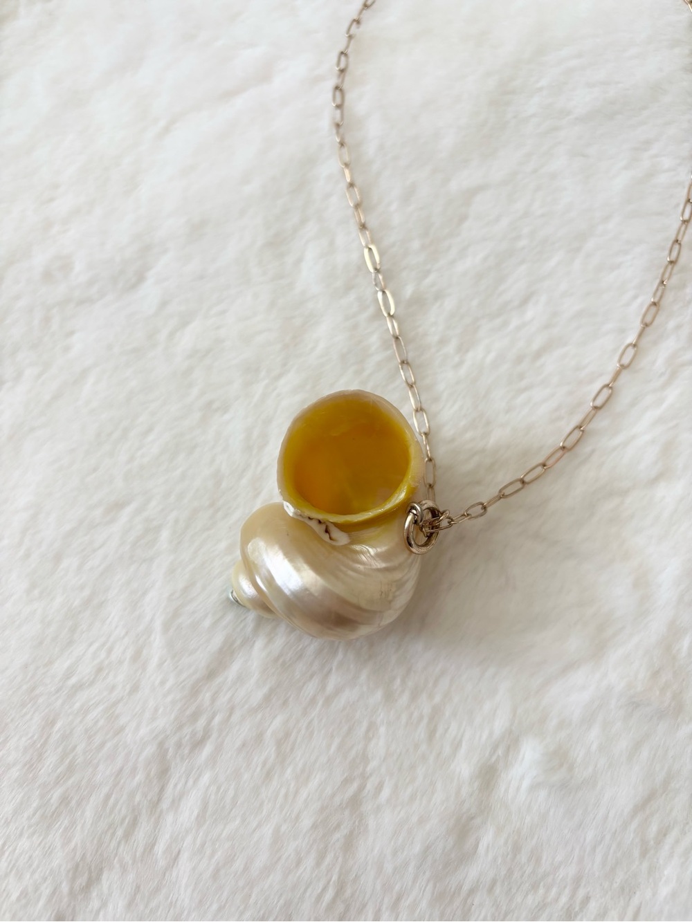 5/$15 🩷 MUST BUNDLE Delicate Cream Shell Pendant Necklace with Gold Chain - Picture 8 of 9